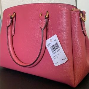 Coach mini Sage carry all